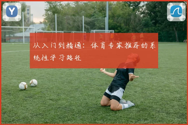 从入门到精通：体育专家推荐的系统性学习路径