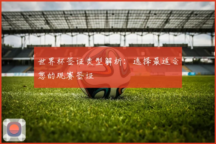 世界杯签证类型解析：选择最适合您的观赛签证